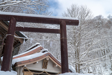 戸隠神社奥社の風景