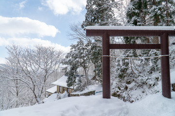 戸隠神社奥社の風景
