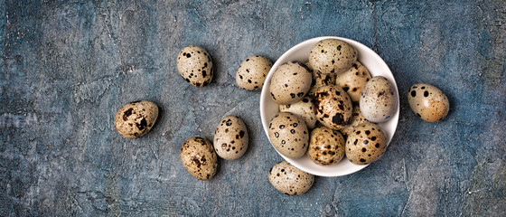 Top view on wide banner with small quail eggs in white bowl