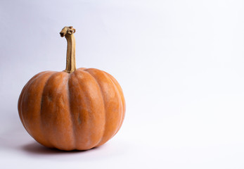 Pumpkin isolated on the white background
