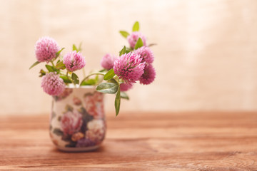 Clover flowers on wooden background. Beautiful purple wild flower. Medicinal herb. Close-up of red clover flowers in the lighting Studio