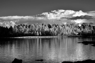 Forest lake in monochrome infrared
