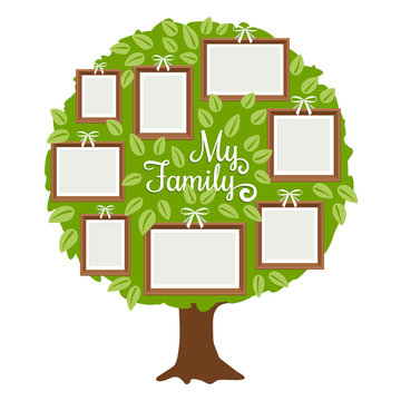 Green family tree with frames for pictures. My family card template, vector illustration