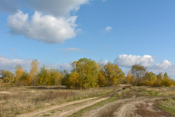 Fototapeta na wymiar Autumn landscape with road and blue sky