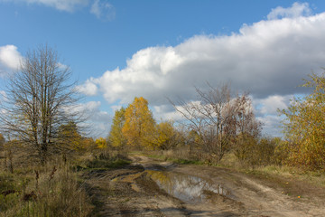Fototapeta premium Autumn landscape with road and blue sky
