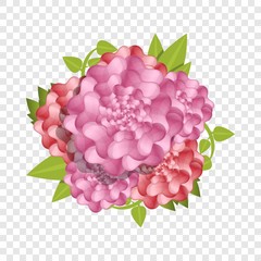 Camellia fresh flower concept background. Cartoon illustration of camellia fresh flower vector concept background for web design