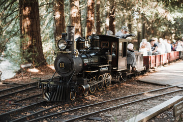 Oakland mini Steam Train