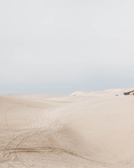 Fog drifting out from the sand dunes