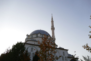 Fototapeta na wymiar a mosque in turkey,