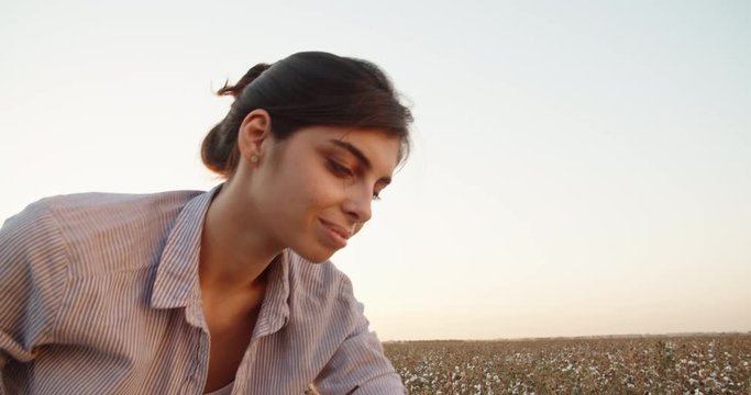 Cotton harvesting. Female indian harvester working in blooming cotton field, handpicking white fiber and putting it in her bag, tied on her tummy - agriculture, manual labor concept 4k