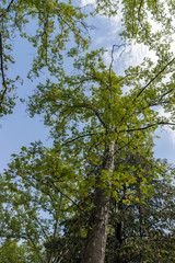 Landscape of park Vrana - around former Royal Palace in city of Sofia, Bulgaria