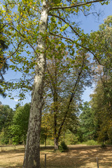 Fototapeta premium Landscape of park Vrana - around former Royal Palace in city of Sofia, Bulgaria