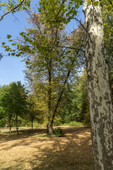 Obraz premium Landscape of park Vrana - around former Royal Palace in city of Sofia, Bulgaria