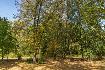 Naklejka premium Landscape of park Vrana - around former Royal Palace in city of Sofia, Bulgaria