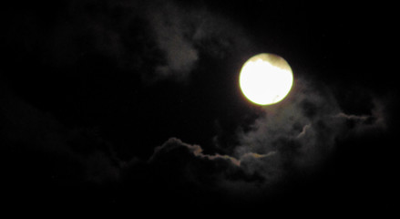 Fototapeta na wymiar full moon in the sky
