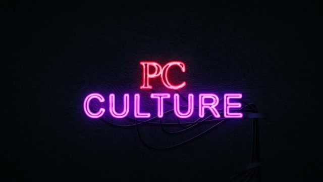 PC Culture Neon Sign