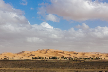 sahara desert
