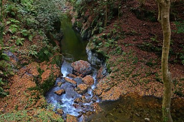 晩秋の渓谷情景＠箕面、大阪