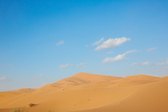 sahara desert © Dennis