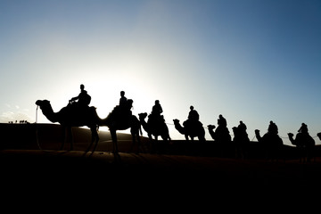 camel caravan silhouettes in sahara desert