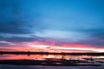 Sunrise at Bosque del Apache, New Mexico