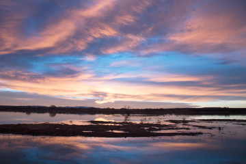 Obraz premium Sunrise at Bosque del Apache, New Mexico