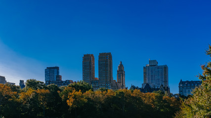 Fototapeta na wymiar Buildings and skyscrapers of midtown Manhattan above trees, viewed from Central Park of New York City, USA