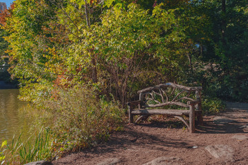 Fototapeta premium Empty wooden bench by water and trees, in Central Park, New York City, USA