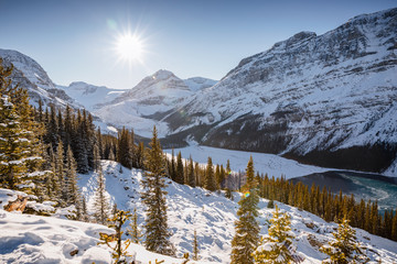 Winter at Peyto Lake in Banff Canada. Snow covered mountains and forest with glacial blue lake. Sunny cloudless afternoon in the Canadian Rocky Mountains. Afternoon at Peyto Lake during the winter