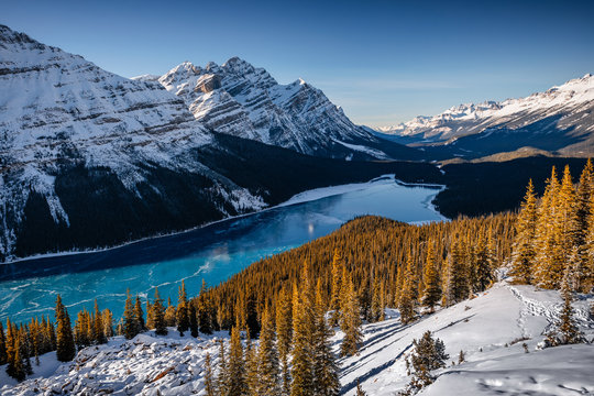 Winter at Peyto Lake in Banff Canada. Snow covered mountains and forest with glacial blue lake. Sunset in the Rocky Mountains. Sunset Peyto Lake during the winter