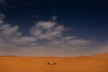 sahara desert at night