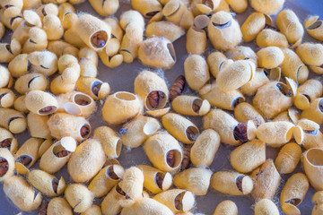 Blurred for background.Golden silk from the local silk. Raw materials for weaving.