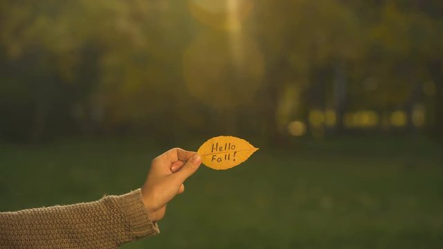 Hello fall written on yellow leaf, hand holding writings, golden autumn season