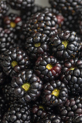Closeup of blackberry
