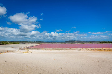 Red salt production in Puerto Rico lake