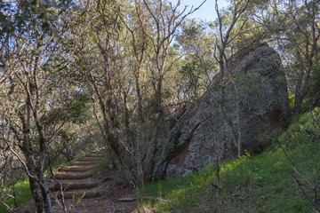Phipps Crossing Lookout, Bylong Valley Way