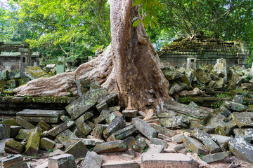 ruin at Beng Mealea temple