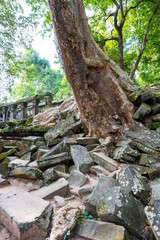Fototapeta na wymiar ruin at Beng Mealea temple