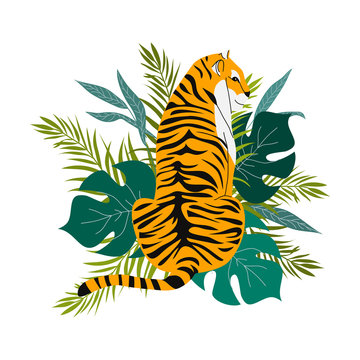 Isolated hand draw tigers and tropical leaves on a white background. Trendy style. Vector
