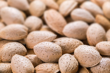 Almonds in a shell blurred background, copy space, close-up, top view