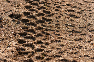 Car tread track background