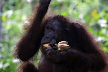 Bon appetite!