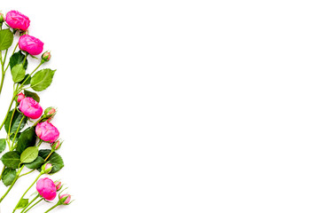 Rose flowers background. Rose roses on white background top view copy space border
