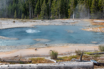 Yellowstone thermal spring