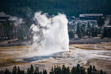 Fototapeta premium Yellowstone Old Faithful eruption