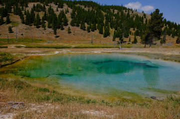 Yellowstone thermal spring