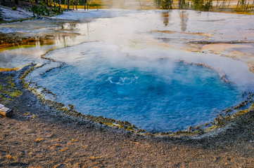 Hot thermal spring Yellowstone
