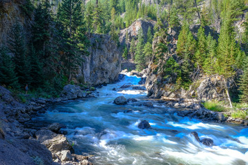 Yellowstone River Waterfall