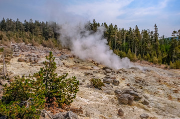 Hot thermal spring Yellowstone