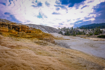 Mammoth Hot Springs  in Yellowstone National Park